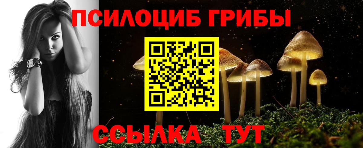 Белово  Псилоцибиновые грибы Magic Shrooms  Вход с VPN  Псилоцибиновые грибы мухоморы 